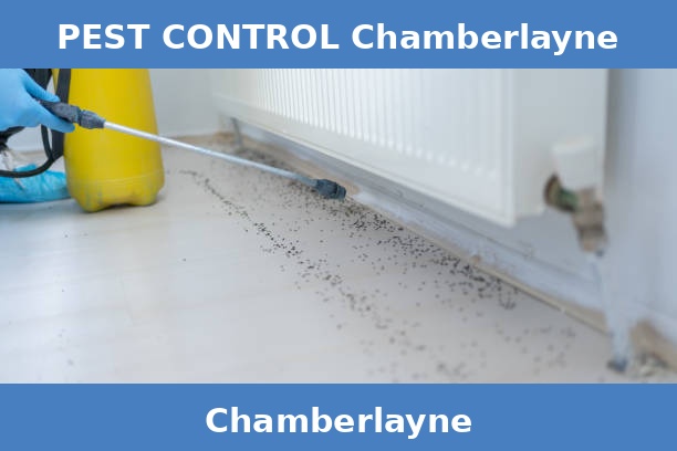 PEST CONTROL Chamberlayne